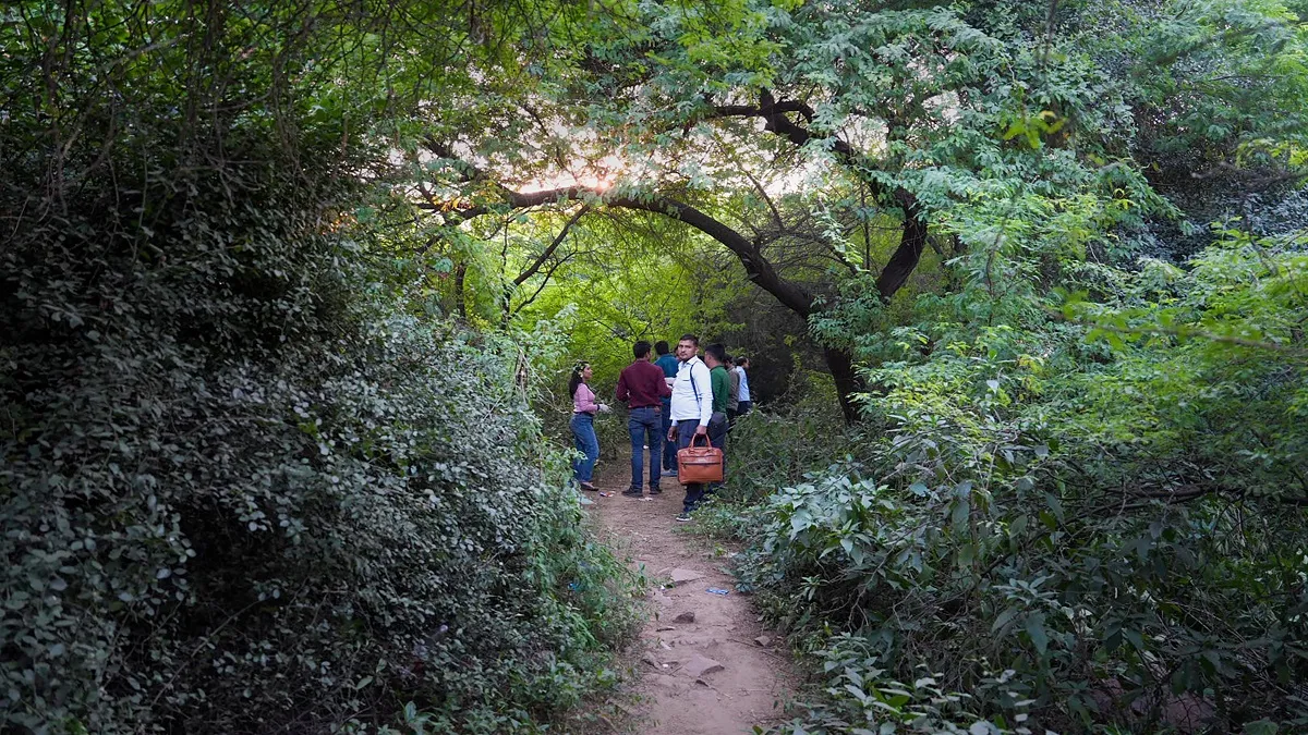 श्रद्धा का चेहरा पेट्रोल से जलाया, हड्डियों को ग्राइंडर में पीसकर किया पाउडर... पढ़ें, आफताब का पूरा कबूलनामा chatarpur forest- India TV Hindi