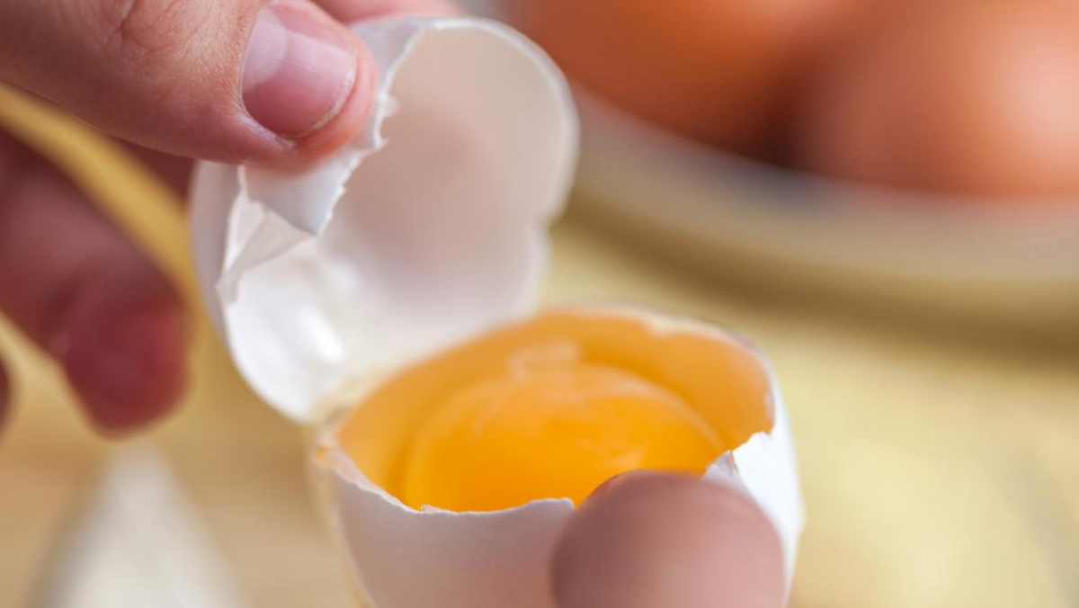 अंडे की जर्दी का रंग पीला और हरा क्यों होता है? समझें Egg yolk के कलर