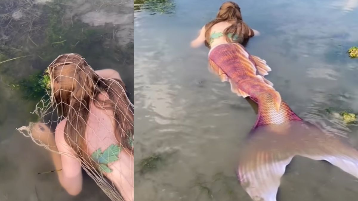 jalpari ka viral video today google trending video mermaid | समुद्र के  किनारे लोगों को दिखी जलपरी? तेजी से वायरल हो रहा ये वीडियो - India TV Hindi