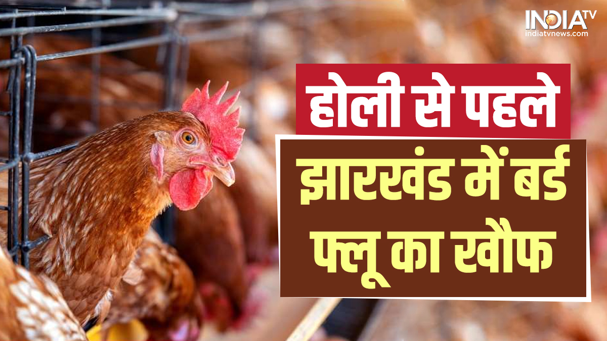 Bird flu outbreak in Jharkhand ahead of Holi, birds die, warning issued-  Old UP Excise