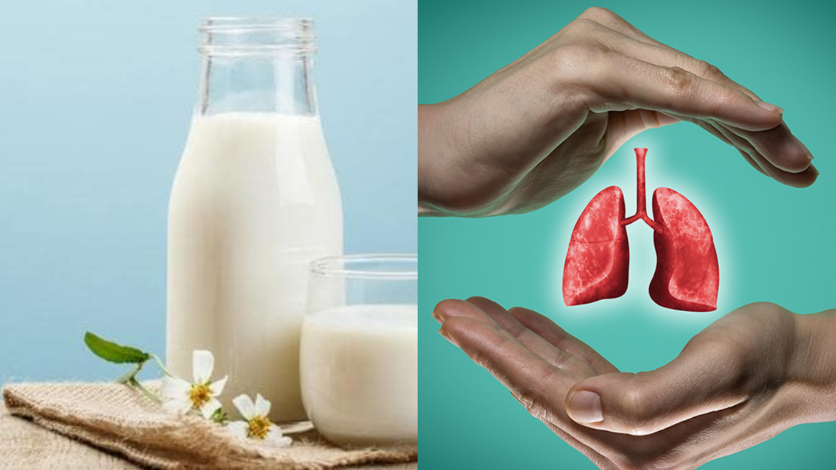 does-drinking-milk-cause-phlegm-to-strengthen-the-lungs-change-the