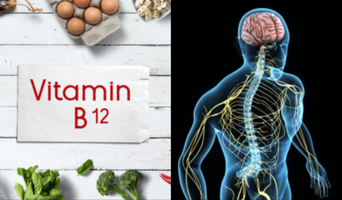 Vitamin B12 Deficiency Damage Nerves, Symptoms Of Vitamin B12 विटामिन ...