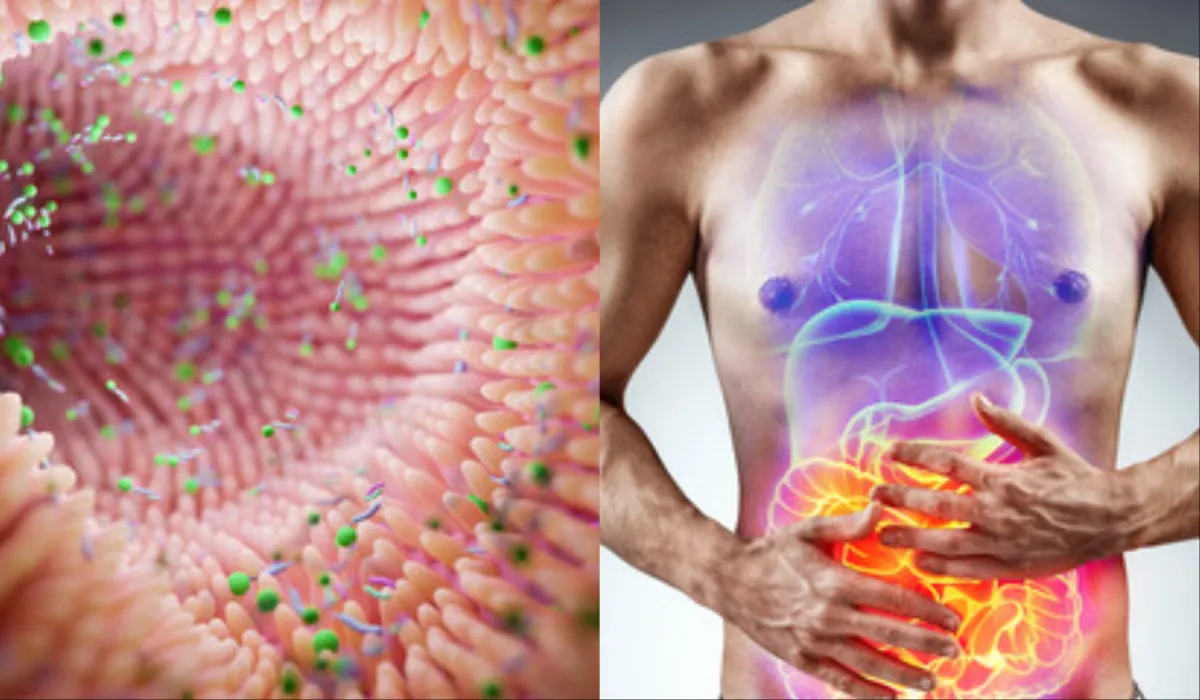 खाली पेट इन चीज़ों का सेवन करने से आंतों का हो जाता है बुरा हाल, पेट में मच जाता है बवंडर intestine and stomach- India TV Hindi