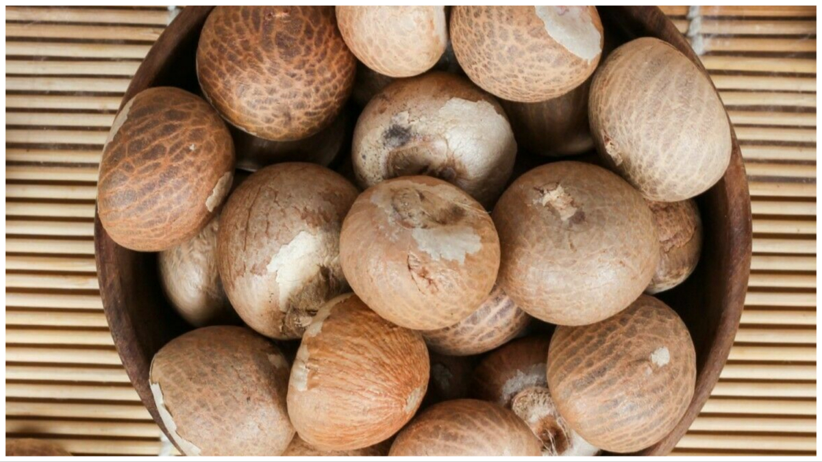 सुपारी खाने के फायदे: मात्र 20 रुपए की सुपारी दूर कर सकती है ये 4 बीमारी | Benefits of Supari in Hindi