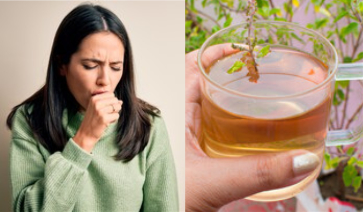 Basil decoction will get rid of severe cough of H3N2, consume it like this