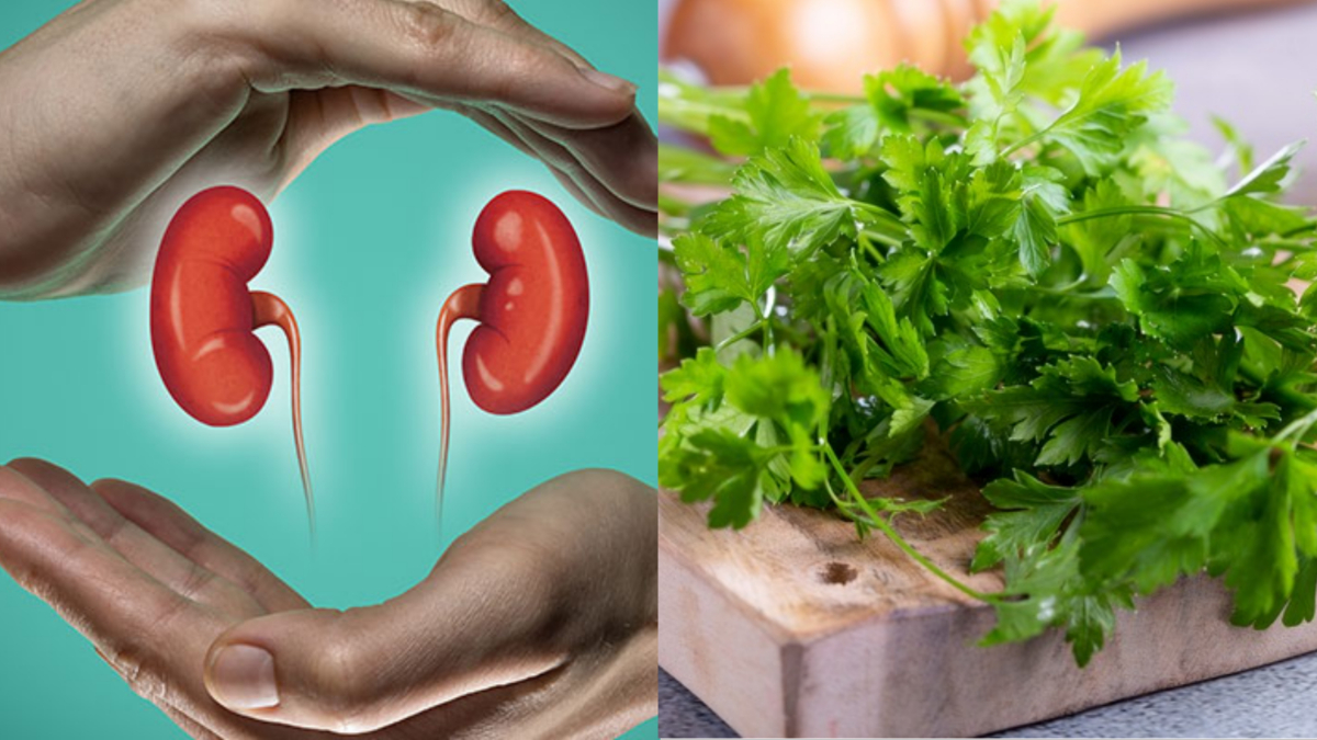 To clean kidney, use green coriander in this way, know its recipe and