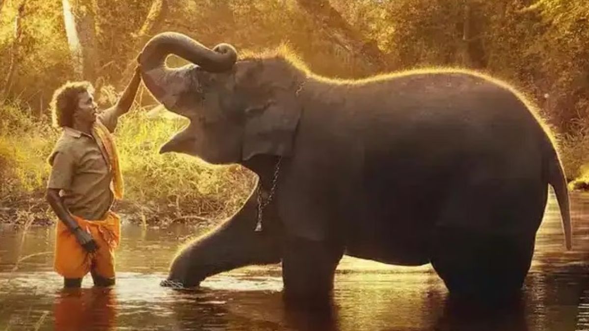 Search results for ‘The Elephant Whispers’ soared 8,164% after Oscar win