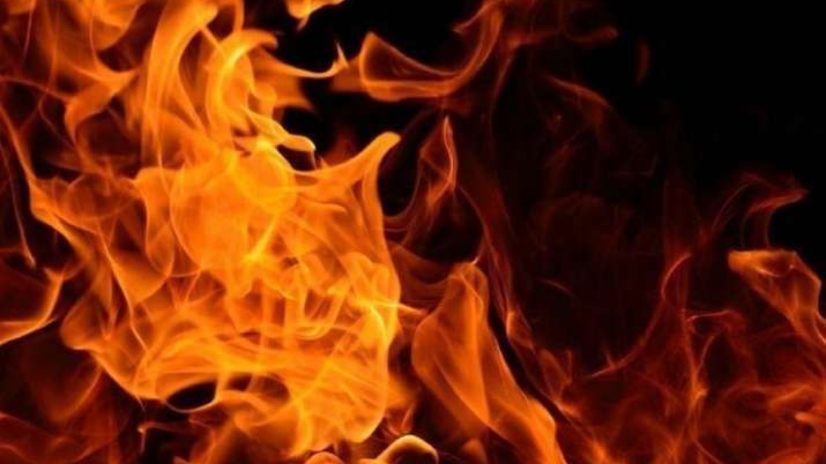 Horrific fire incident in Delhi and Maharashtra house and factory burnt to  ashes दिल्ली-महाराष्ट्र में आग की भीषण घटना, धू-धू कर जल उठा मकान और  फैक्ट्री - India TV Hindi