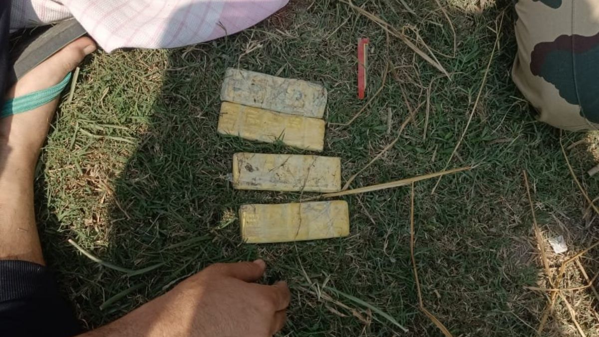 BSF seizes gold biscuits worth Rs 2.68 crore lying in the pond in Kalyani of North 24 Parganas | तालाब में पड़े हुए थे 2.68 करोड़ रुपये के सोने के बिस्किट, BSF ने किया बड़ा खुलासा