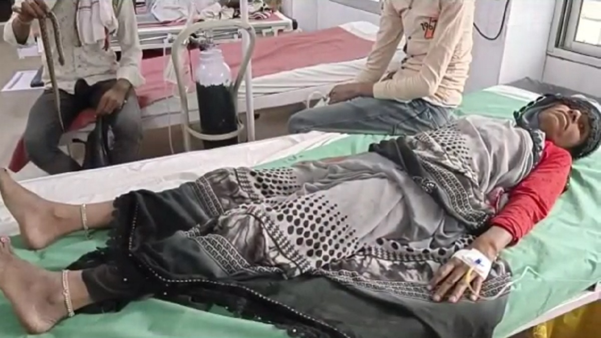 UP When mother was bitten by a snake son put her in polythene and reached the hospital। यूपी: मां को सांप ने काटा तो बेटे ने उठाया ऐसा कदम, जिसे देखकर सभी रह गए दंग, जानें पूरा मामला