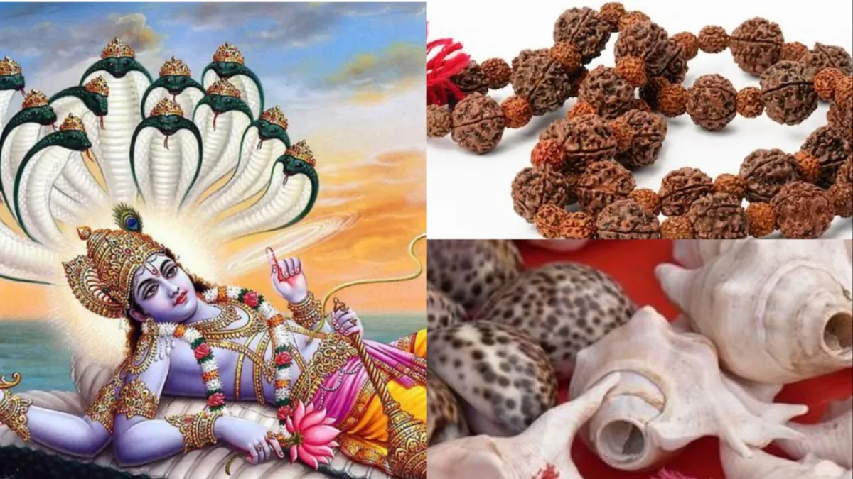 Varuthini Ekadashi 2023: एकादशी के दिन करें रुद्राक्ष और शंख का ये उपाय, विष्णु जी घर में हमेशा बनाएं रखेंगे बरकत Varuthini Ekadashi 2023- India TV Hindi