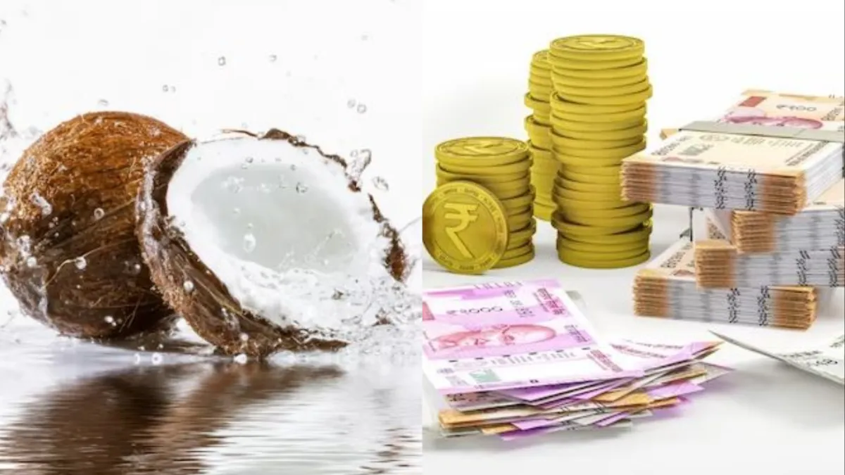 Vaishakh Amavasya 2023 Remedies: आज जरूर करें पानी वाले नारियल का ये उपाय, होगी अथाह धन की प्राप्ति Vaishakh Amavasya 2023- India TV Hindi