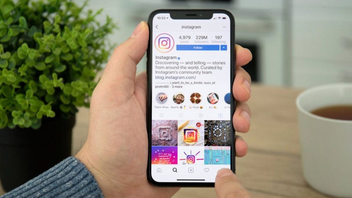 Trends feature is coming to increase followers in Instagram । इंस्टाग्राम में तेजी से बढ़ेंगे फॉलोअर्स, जल्द आने वाला है गजब का फीचर, जानें कैसे होगा इसका इस्तेमाल