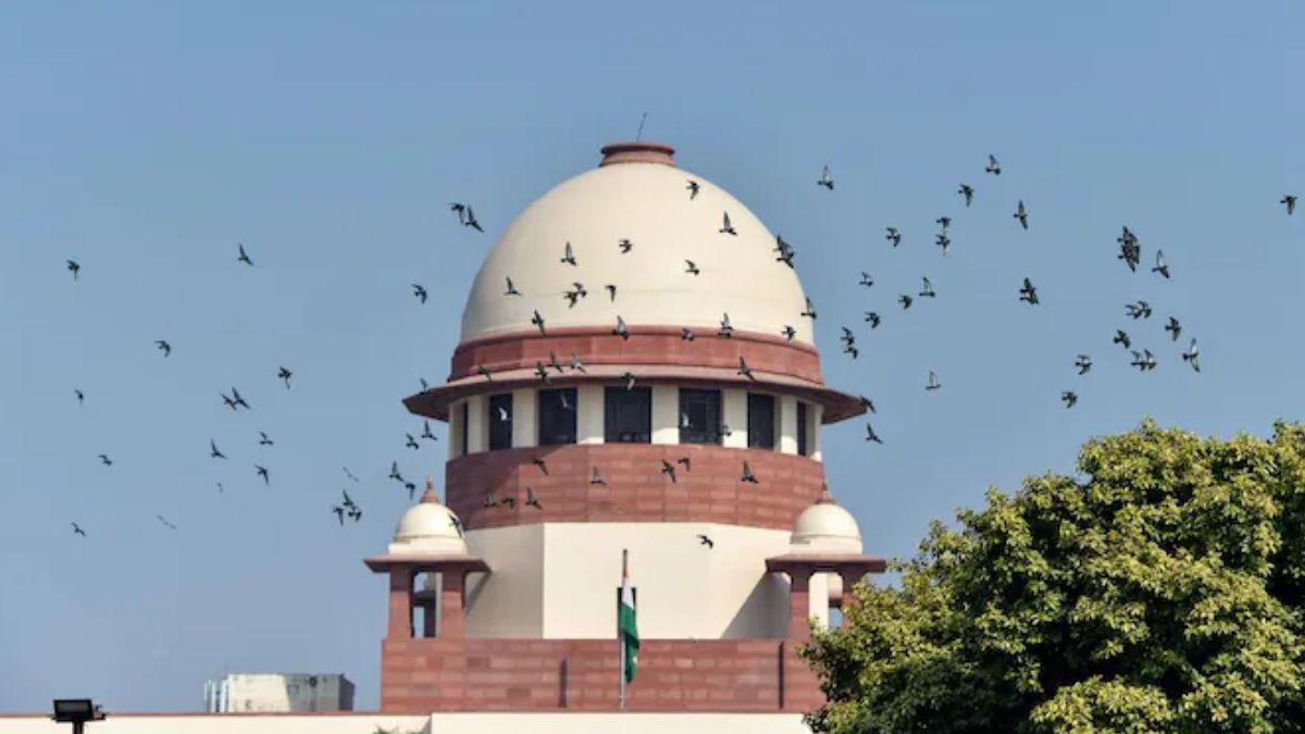 Supreme Court says lawyers cannot go on strike, cannot stop work | ‘वकील हड़ताल पर नहीं जा सकते, काम बंद नहीं कर सकते’, जानें सुप्रीम कोर्ट ने और क्या कहा