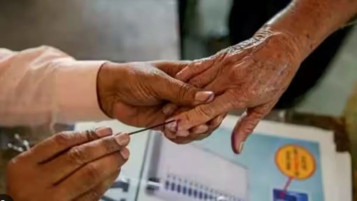 ByPoll Result : रामपुर की स्वार सीट पर बीजेपी गठबंधन जीता, जालंधर लोकसभा सीट पर AAP विजयी by election result- India TV Hindi