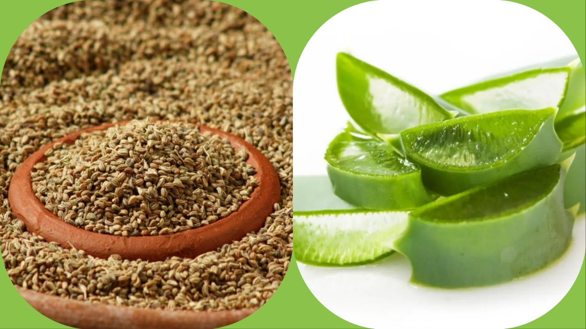 यूरिक एसिड में एलोवेरा और अजवाइन Ajwain with aloevera for high uric