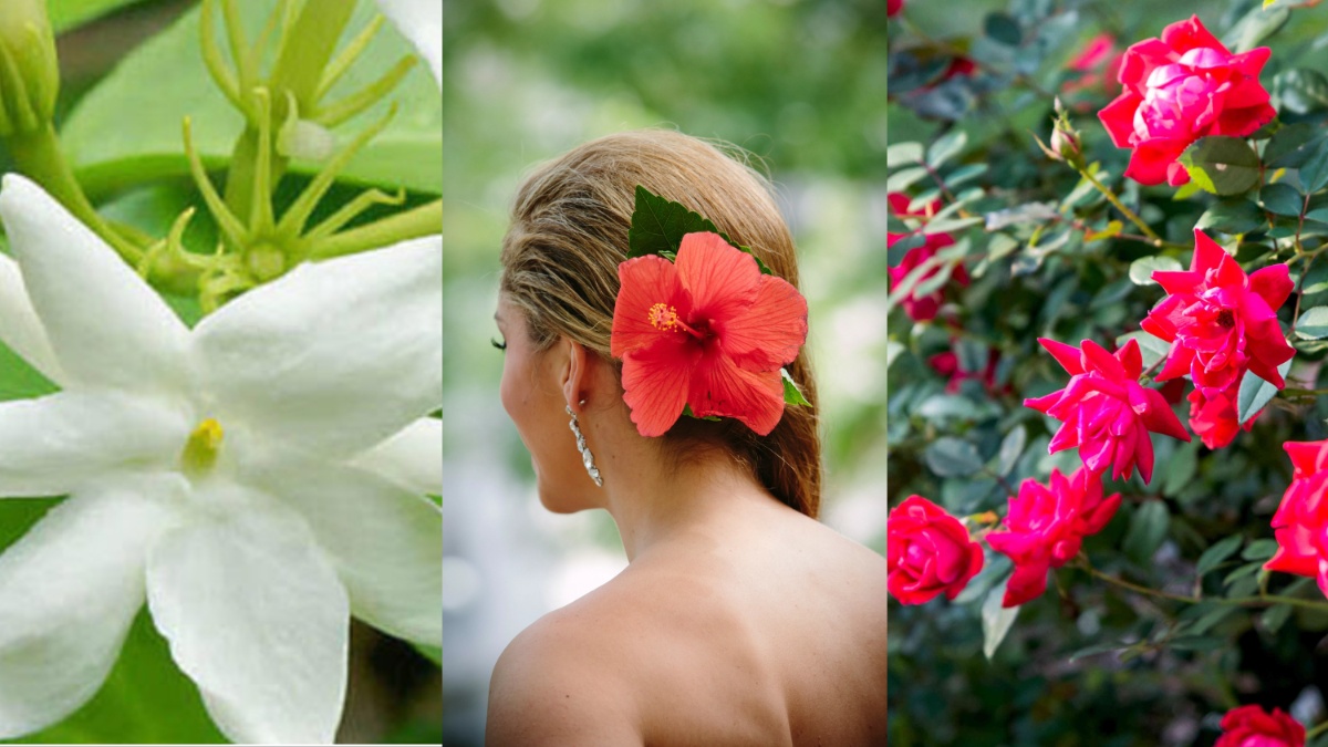 बाल बढ़ाने के लिए कौन सा फूल अच्छा है | 5 flowers for hair growth in hindi