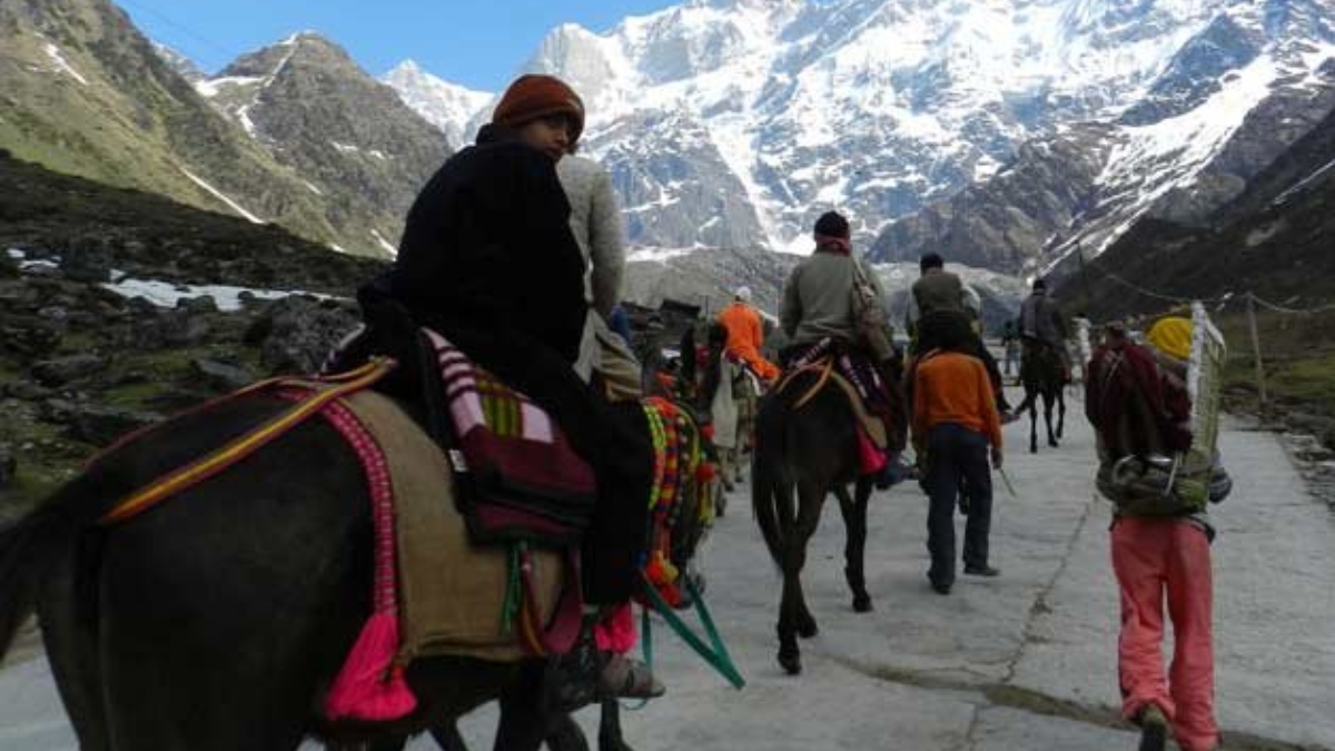 Uttarakhand chardham yatra 16 horses and mules died in Kedarnath Yatra in 16 days नहीं थम रही क्रूरता, केदारनाथ यात्रा में 16 दिनों में 16 घोड़े-खच्चरों की हुई मौत - India TV Hindi
