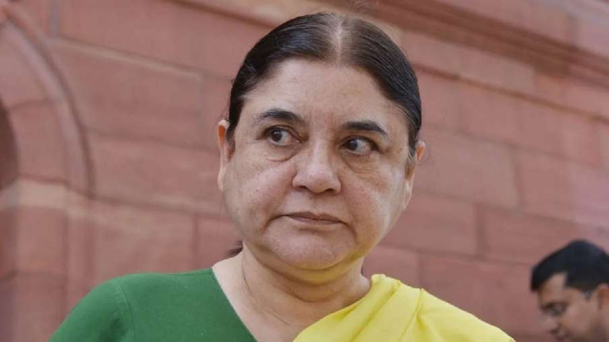 BJP सांसद मेनका गांधी चुनाव प्रचार के लिए जाते समय गिरीं, पैर फिसलने की वजह से हुआ हादसा, देखें VIDEO। BJP MP Maneka Gandhi fell in the middle of the way due to slipping VIDEO viral