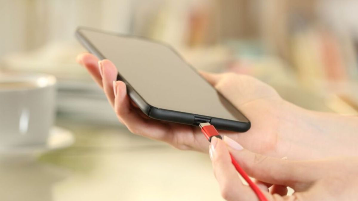 Most people want standard charging cable for mobile, tablet, 9 out of 10 Indians supported