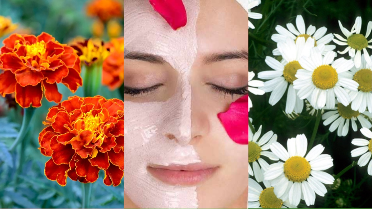 इन 4 एंटी बैक्टीरियल फूलों में है स्किन की कई समस्याओं का इलाज | antibacterial flowers for skin in hindi