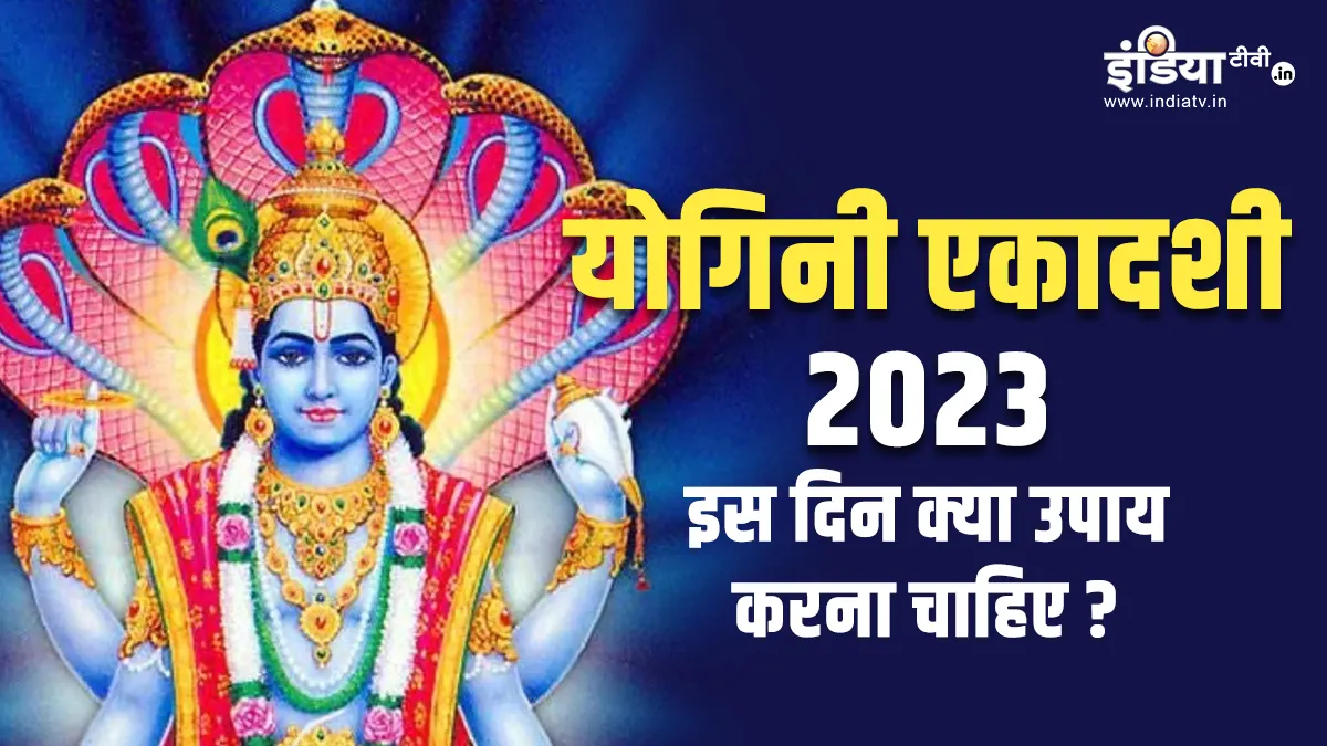 Yogini Ekadashi 2023: तुलसी का ये चमत्कारी उपाय खोल देगा बंद किस्मत का ताला, बस योगिनी एकादशी पर करें ये काम Yogini Ekadashi 2023- India TV Hindi
