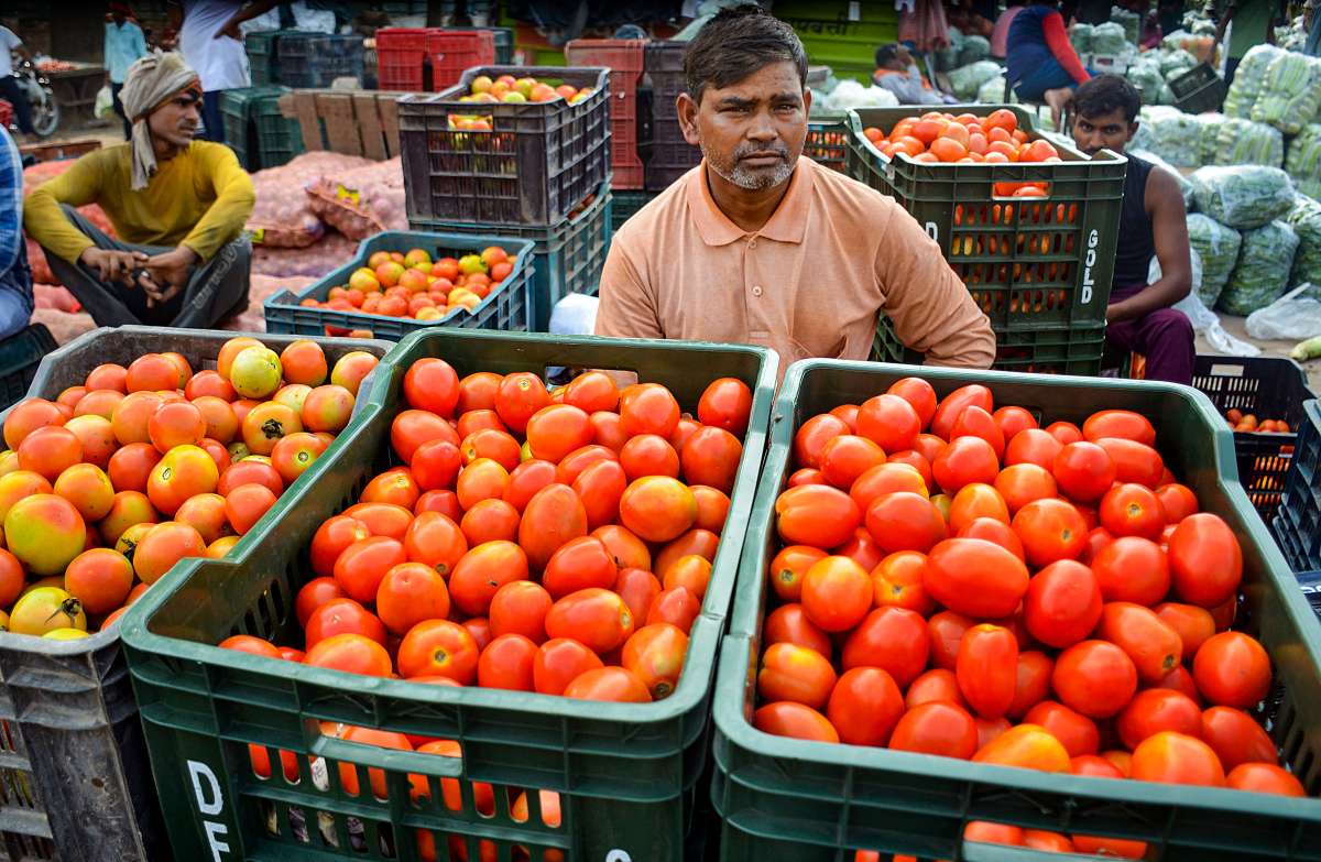 Tomatoes will be available at Rs 50 per kg in Uttar Pradesh, due to which the price will soon skyrocket across the country.