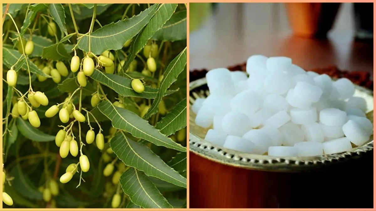 neem_camphor- India TV Hindi