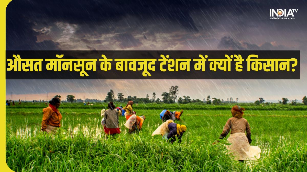 Explainer: Why are Indian farmers worried despite an average monsoon?  These crops have more effect