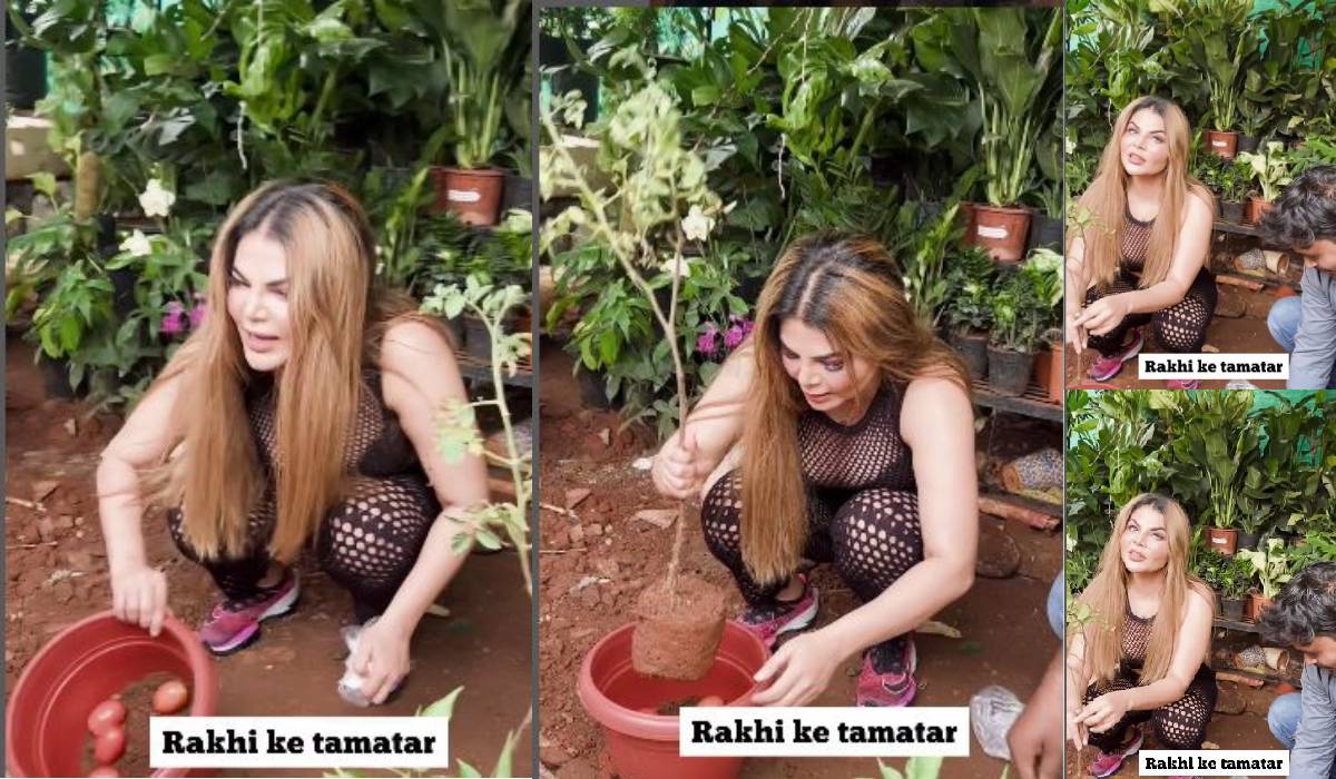 Rakhi Sawant told the technique of growing tomatoes in 15 days, said – arranged for seven births