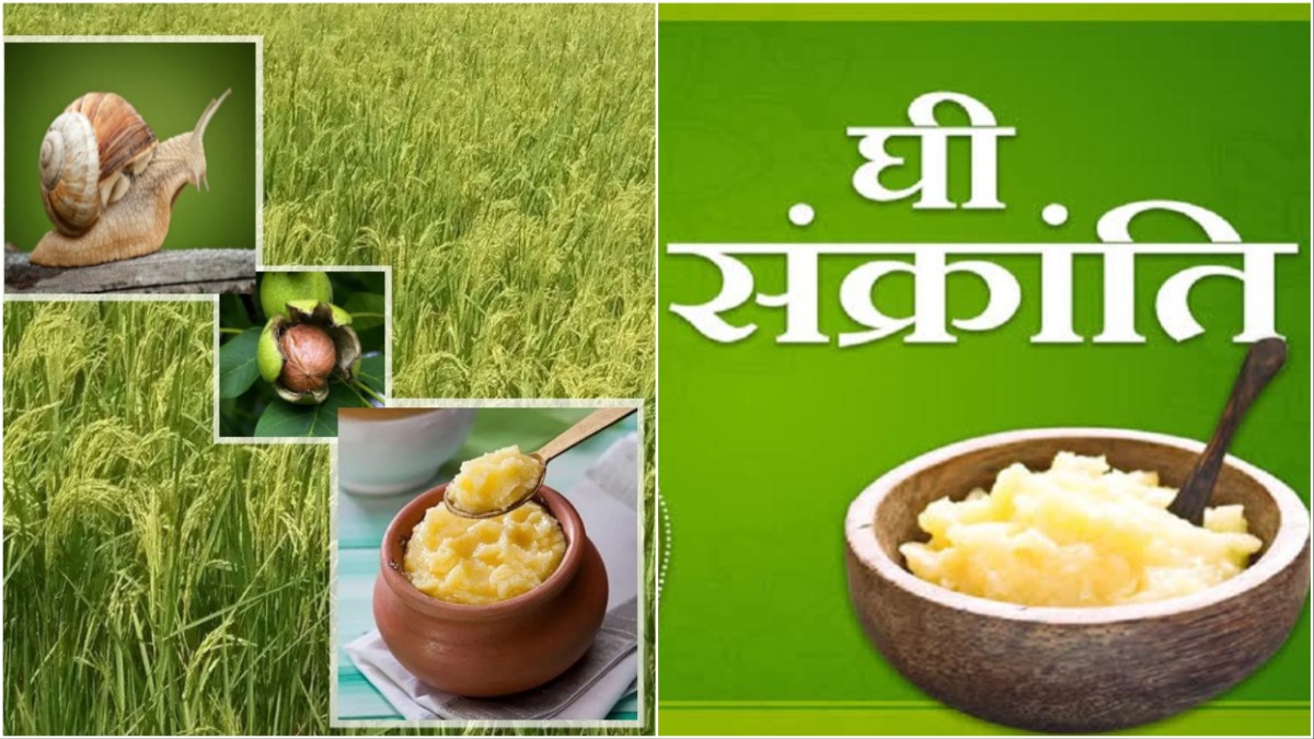 Happy Ghee Sankranti Today is Ghee Sankranti festival, know the health
