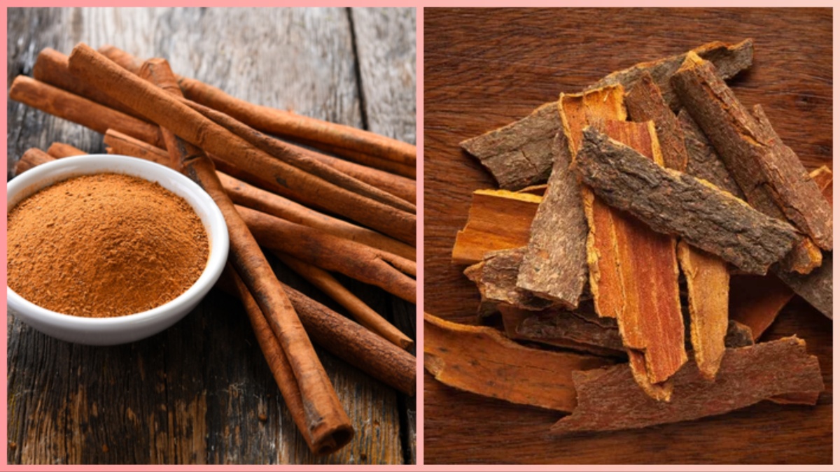 असली और नकली दालचीनी में कैसे करें पहचान Original and Fake Cinnamon