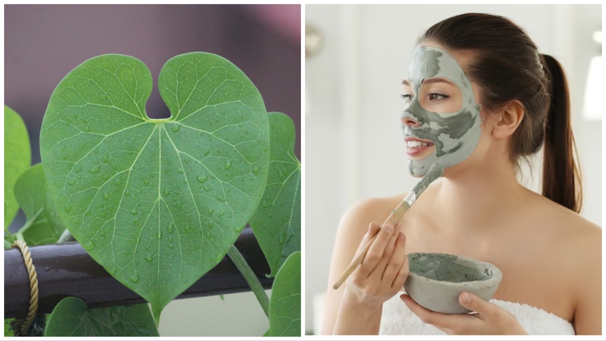 चेहरे के लिए गिलोय का उपयोग कैसे करें | How to use giloy for skin problems