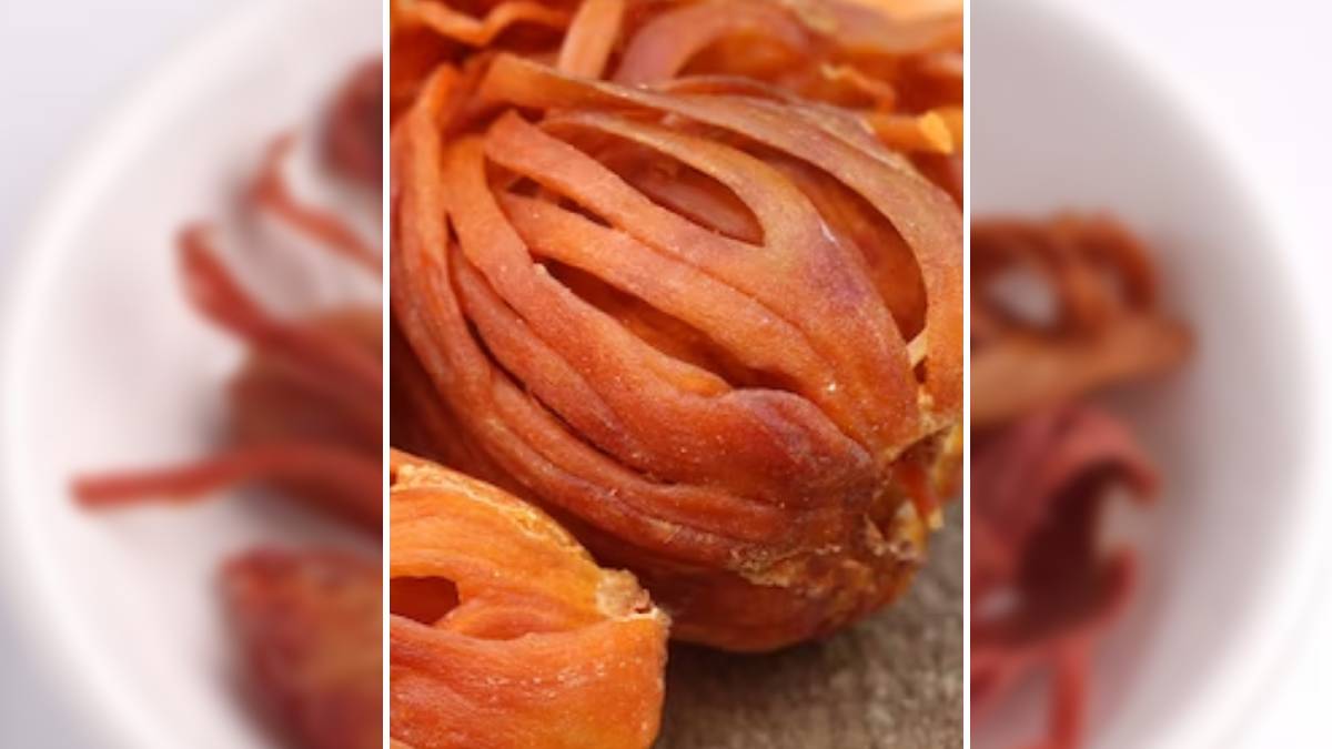 जावित्री का उपयोग कैसे किया जाता है? जानें इसके फायदे What are the