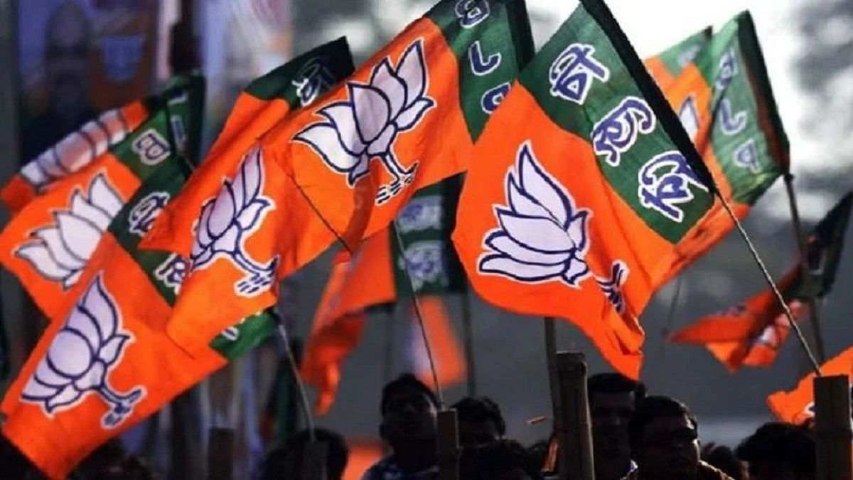 BJP’s Mega Plan for Lok Sabha Elections: Expansionists Set to Conquer All 543 Seats!