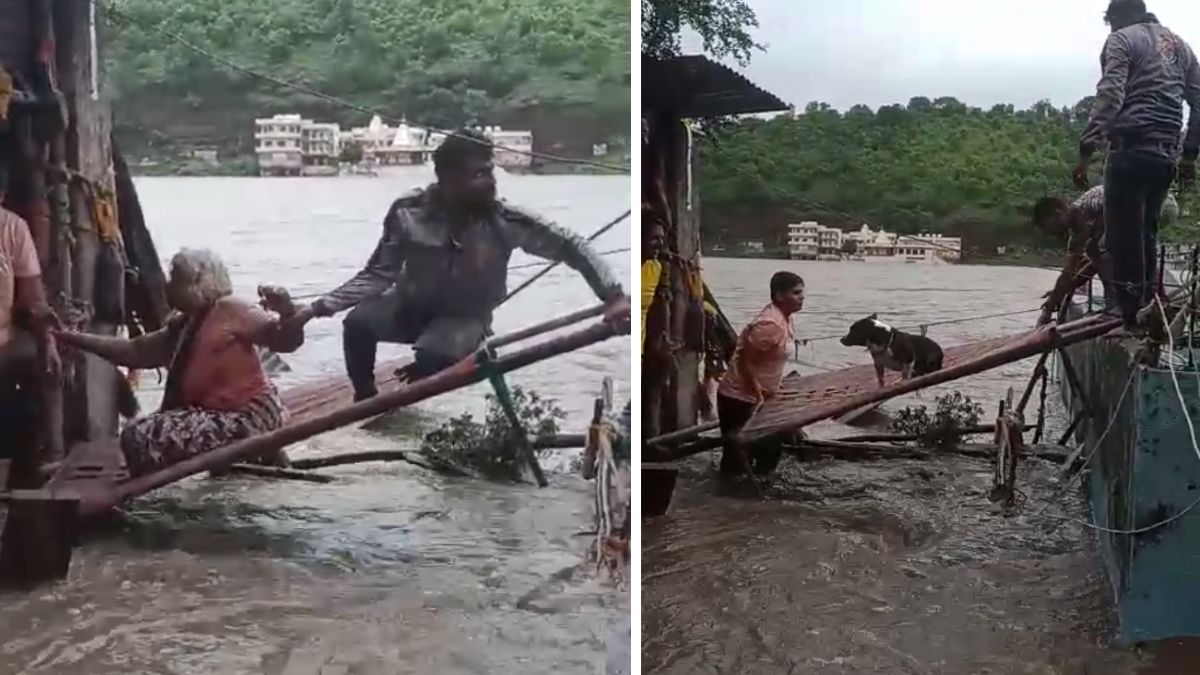 video of old woman not leaving her dog in flash flood hit house goes viral । भयानक बाढ़, तेज सैलाब और बीच में झोपड़ी… फिर भी कुत्ते को छोड़ रेस्क्यू टीम के पास नहीं जा रही थी बुजुर्ग महिला