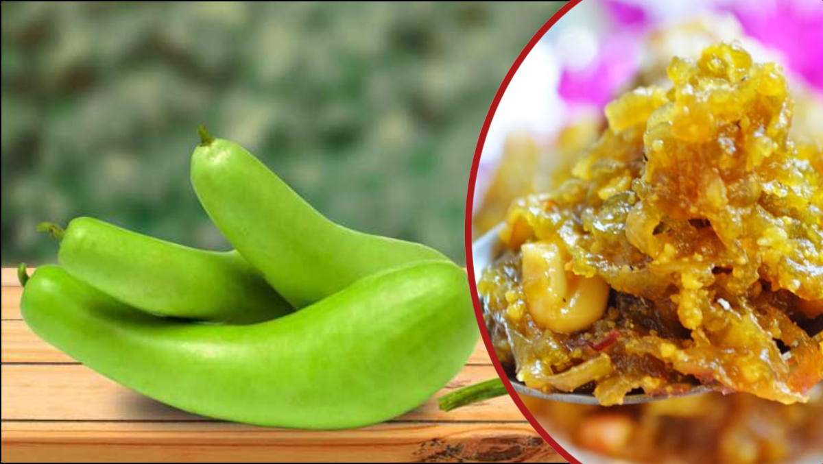 Lauki Bottle Gourd Murabba Recipe In Hindi Good For Cold Cough India