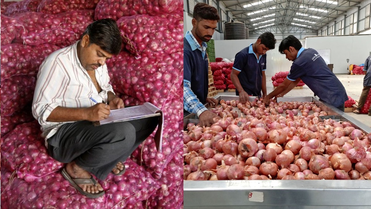 Onion price reduced by 9% in this state, attitude softened after Centre’s move, average price across the country ₹ 50 per kg