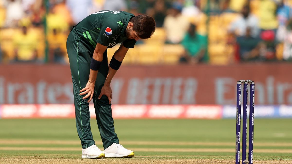 Australia has become the first team to score 350 runs against Pakistan In World Cup | World Cup में टूट गया 48 साल का रिकॉर्ड, पहली बार PAK गेंदबाजों का हुआ ऐसा बुरा हाल