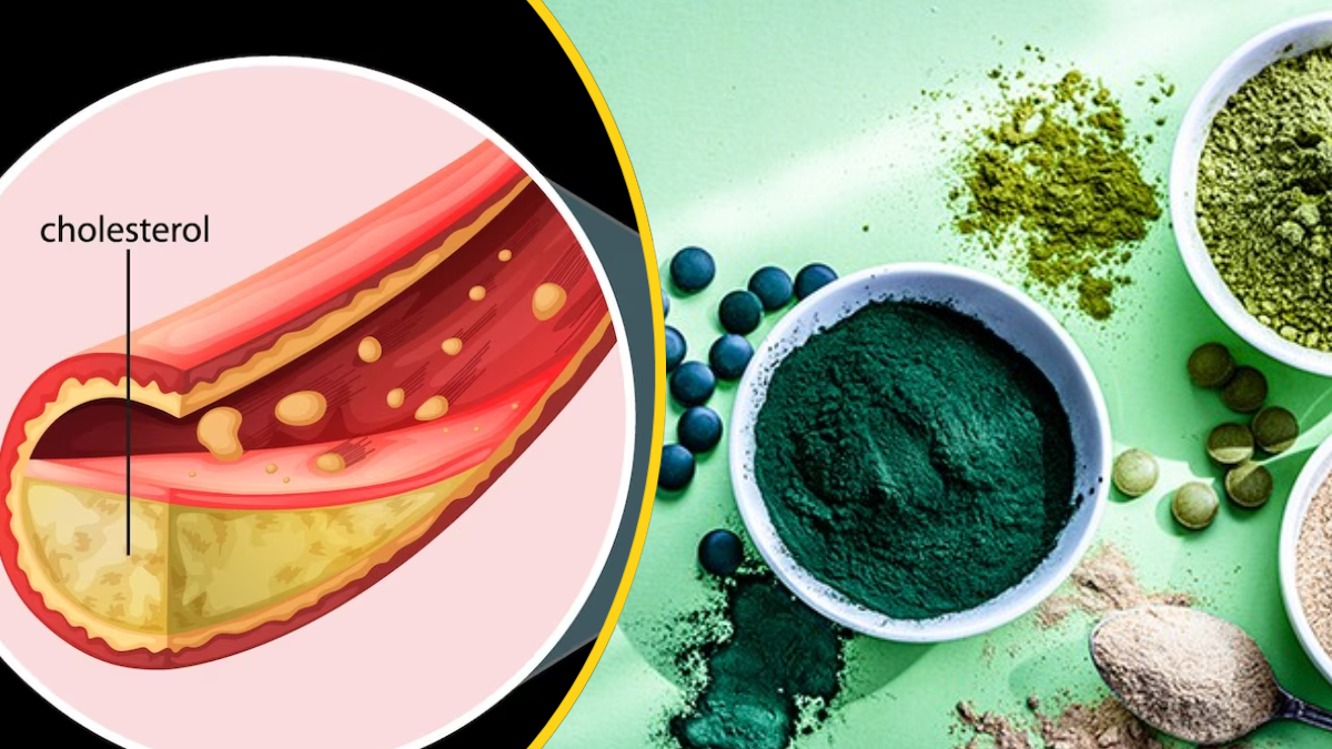 What Is Spirulina How To Control Cholesterol Good Source Of Protein And