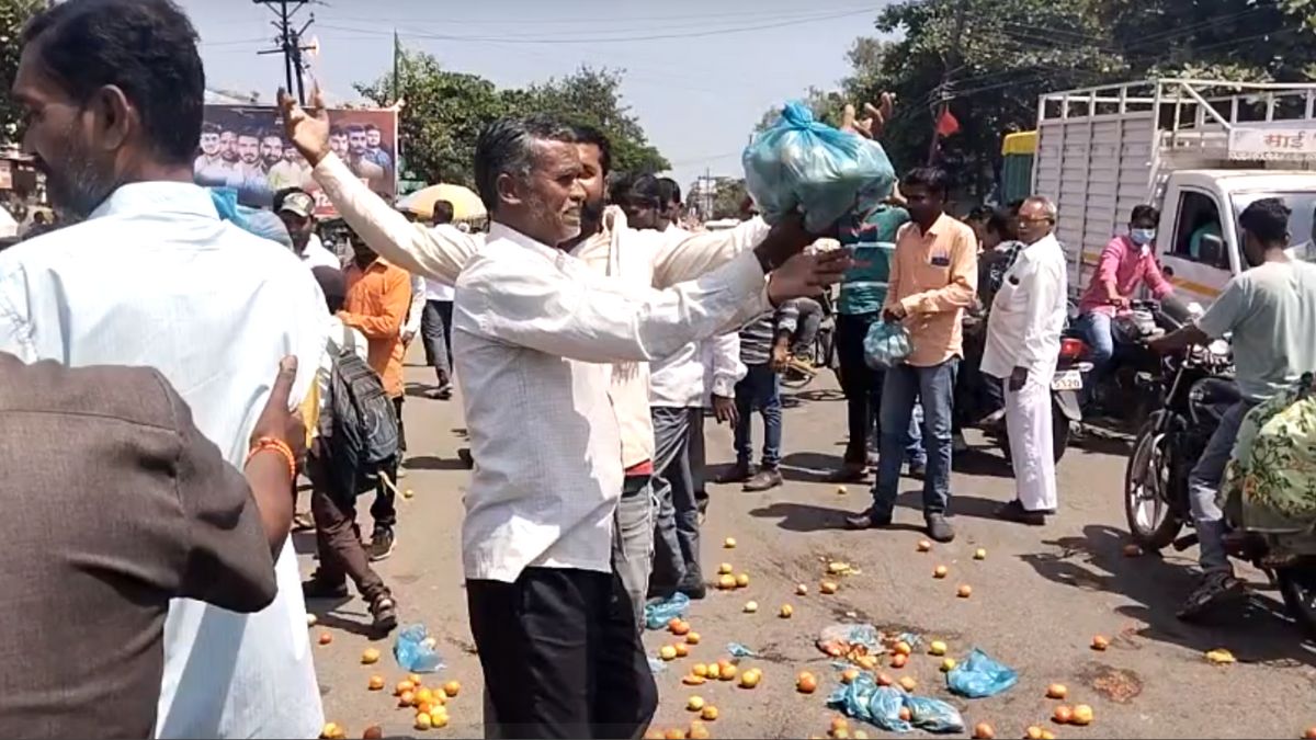 farmers distributing tomatoes for free in Latur due to very low rates । अर्श फर्श पर पहुंचा टमाटर! भाव ना मिलने से महाराष्ट्र के लातूर में फ्री में बांट रहे किसान