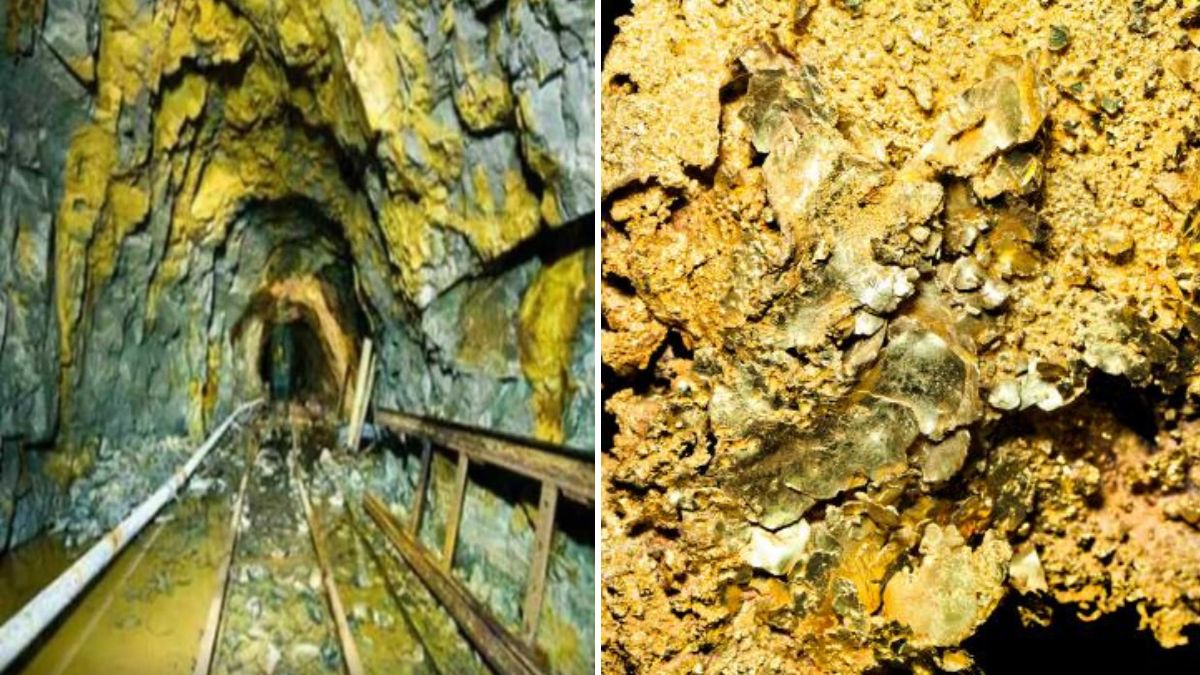 Gold hidden in askot hills of Uttarakhand agreement signed with Hyderabad company । उत्तराखंड की इस जगह में छुपा है खरबों का सोना, हैदराबाद की कंपनी से हुआ करार