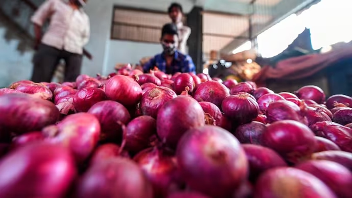Onion prices are not decreasing in Delhi, prices decreased by 4-10% in Maharashtra, prices increased due to speculation!