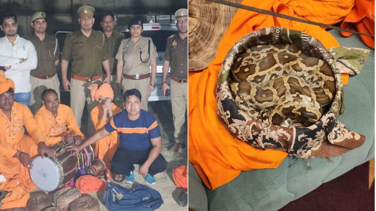 elvish yadav case snake venom rave party noida police two snakes recovered from faridabad । फरीदाबाद में बने गोदाम में निकाला जाता था सांपो का जहर, 2 कोबरा भी बरामद