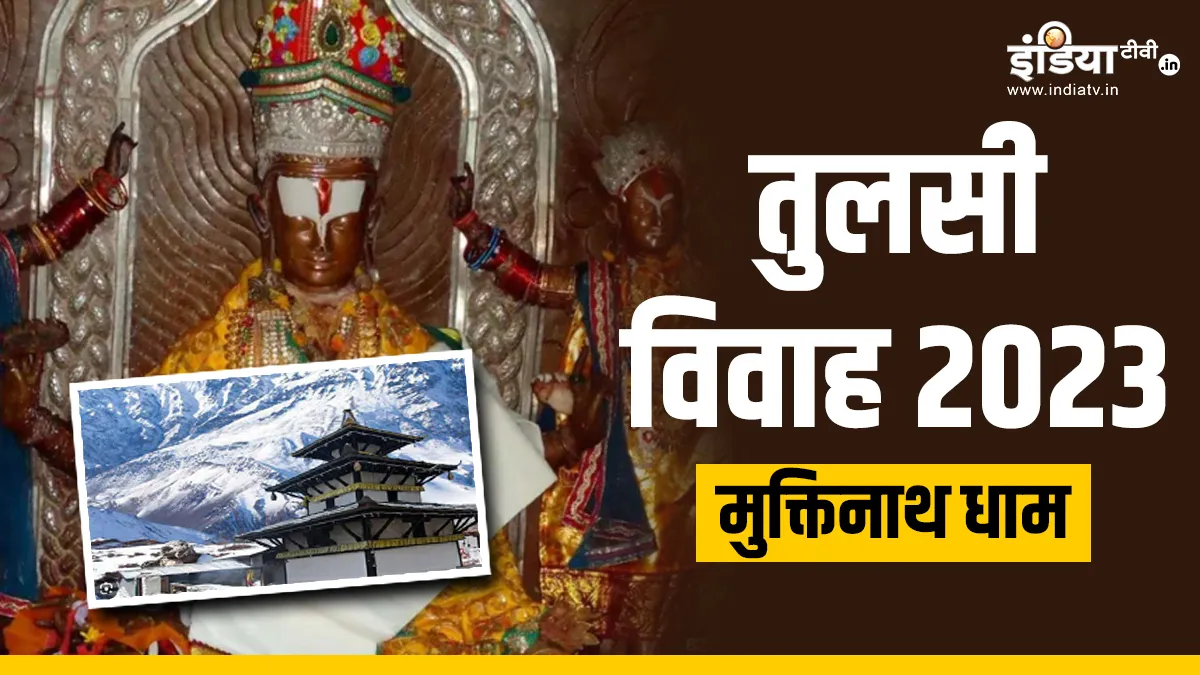 Tulsi Vivah 2023: वो जगह जहां देवी वृंदा ने भगवान विष्णु को श्राप से किया था मुक्त, जानिए फिर कैसे बन गईं तुलसी Tulsi Vivah 2023- India TV Hindi