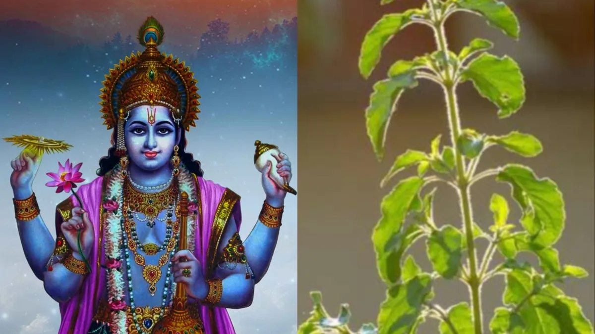 आज विष्णु जी और तुलसी लगाएंगे आपका बेड़ा पार, बस इनमें से कर लें कोई भी कोई 1 उपाय विष्णु जी और माता तुलसी- India TV Hindi