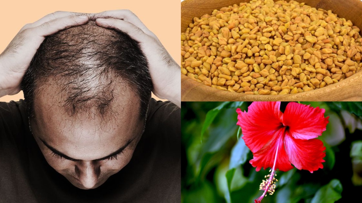 Have you started seeing hair instead of hair?  Fenugreek and hibiscus will bring back hair, use it like this