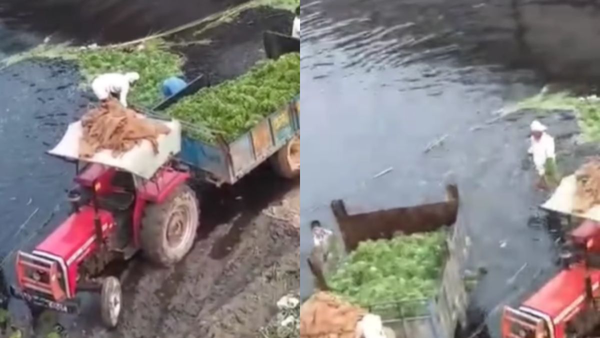 Viral Video: हिंडन नदी के गंदे पानी में हरी सब्जियां धोते दिखे शख्स, वीडियो सोशल मीडिया पर वायरल