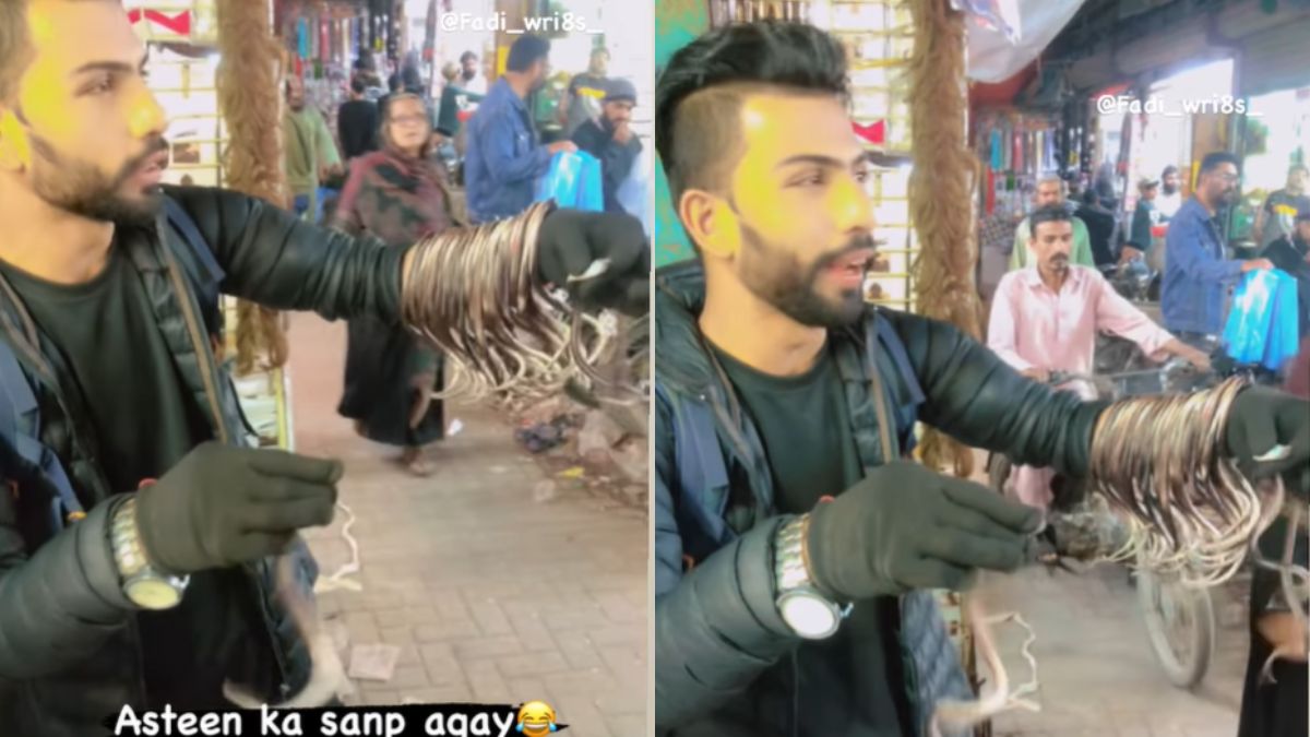 Funny Video: ‘आस्तीन के सांप’ बेचते शख्स का वीडियो हुआ वायरल, लोगों ने जमकर लिए मजे