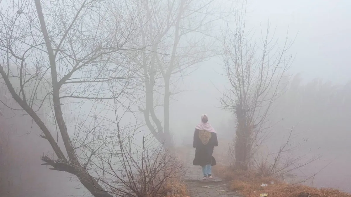 दिल्ली से भी ज्यादा गर्म है कश्मीर, पूरी सर्दी ना बारिश, ना बर्फबारी, सूखा जैसे हालात jammu kashmir- India TV Hindi